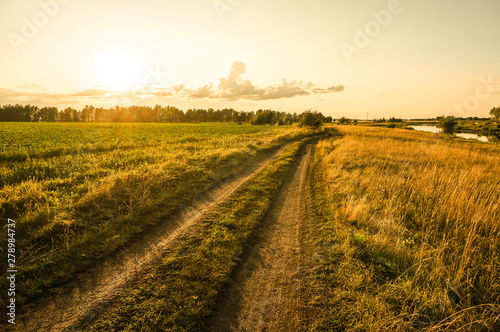 rural road in the field