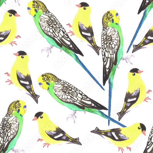 Budgies and american goldfinches seamless watercolor background in vibrant color scheme photo