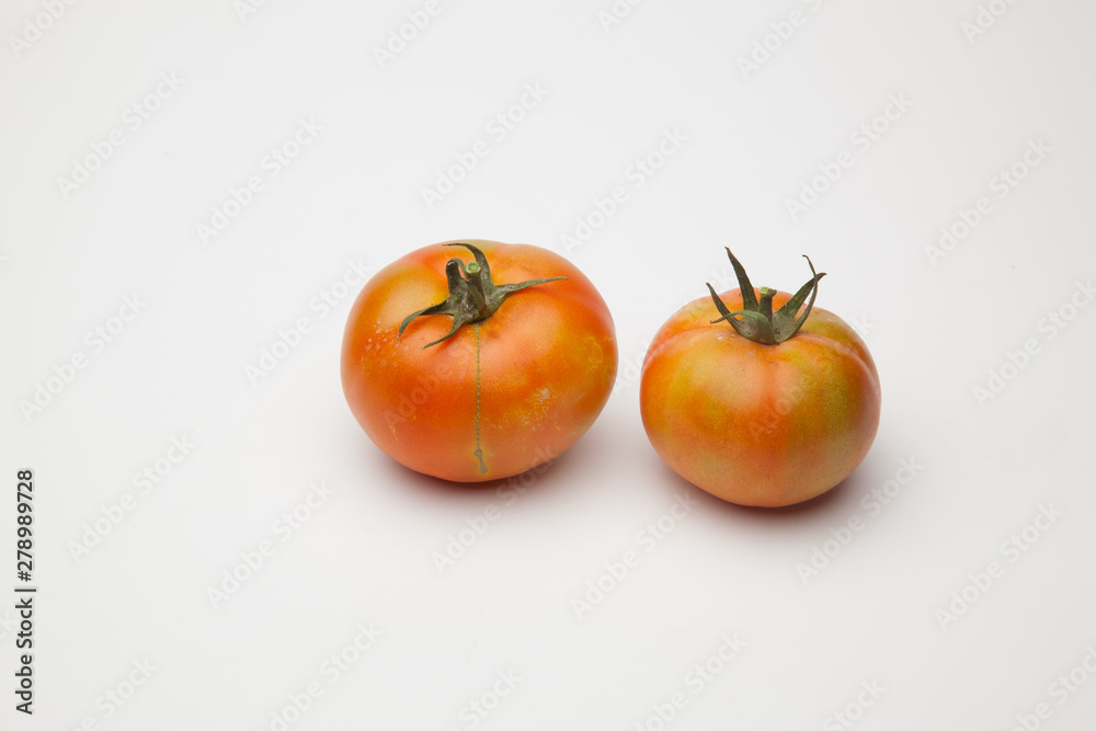Tomates ecológicos recién cogidos del huerto para ser llevado a la mesa para ser comido ya sea cruzo en zumo o bien cocinado en salsa, mermelada, sofrito, relleno o como acompañamiento Tomates ecológicos recién cogidos del huerto para ser llevado a la mesa para ser comido ya sea cruzo en zumo o bien cocinado en salsa, mermelada, sofrito, relleno o como acompañamiento