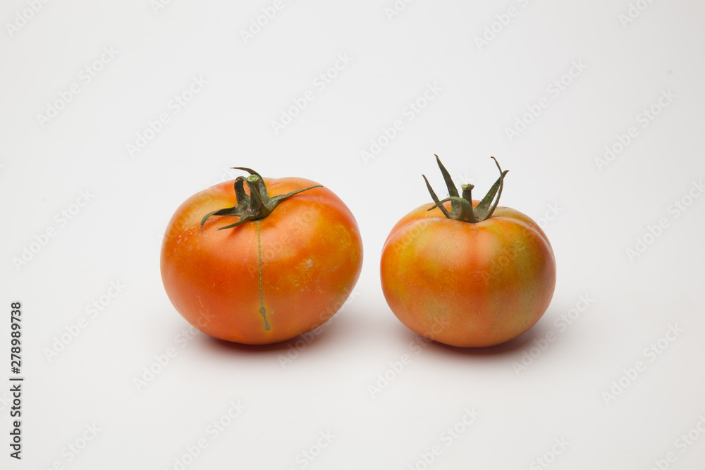 Saludables y bellos tomates, recién traidos del huerto para ser puestos en la mesa o en el mercado. Saludables y bellos tomates, recién traidos del huerto para ser puestos en la mesa o en el mercado.