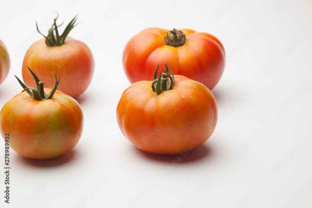 Tomates ecológicos recién cogidos del huerto para ser llevado a la mesa para ser comido ya sea cruzo en zumo o bien cocinado en salsa, mermelada, sofrito, relleno o como acompañamiento Tomates ecológicos recién cogidos del huerto para ser llevado a la mesa para ser comido ya sea cruzo en zumo o bien cocinado en salsa, mermelada, sofrito, relleno o como acompañamiento