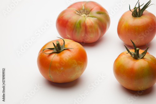 Saludables y bellos tomates, recién traidos del huerto para ser puestos en la mesa o en el mercado.