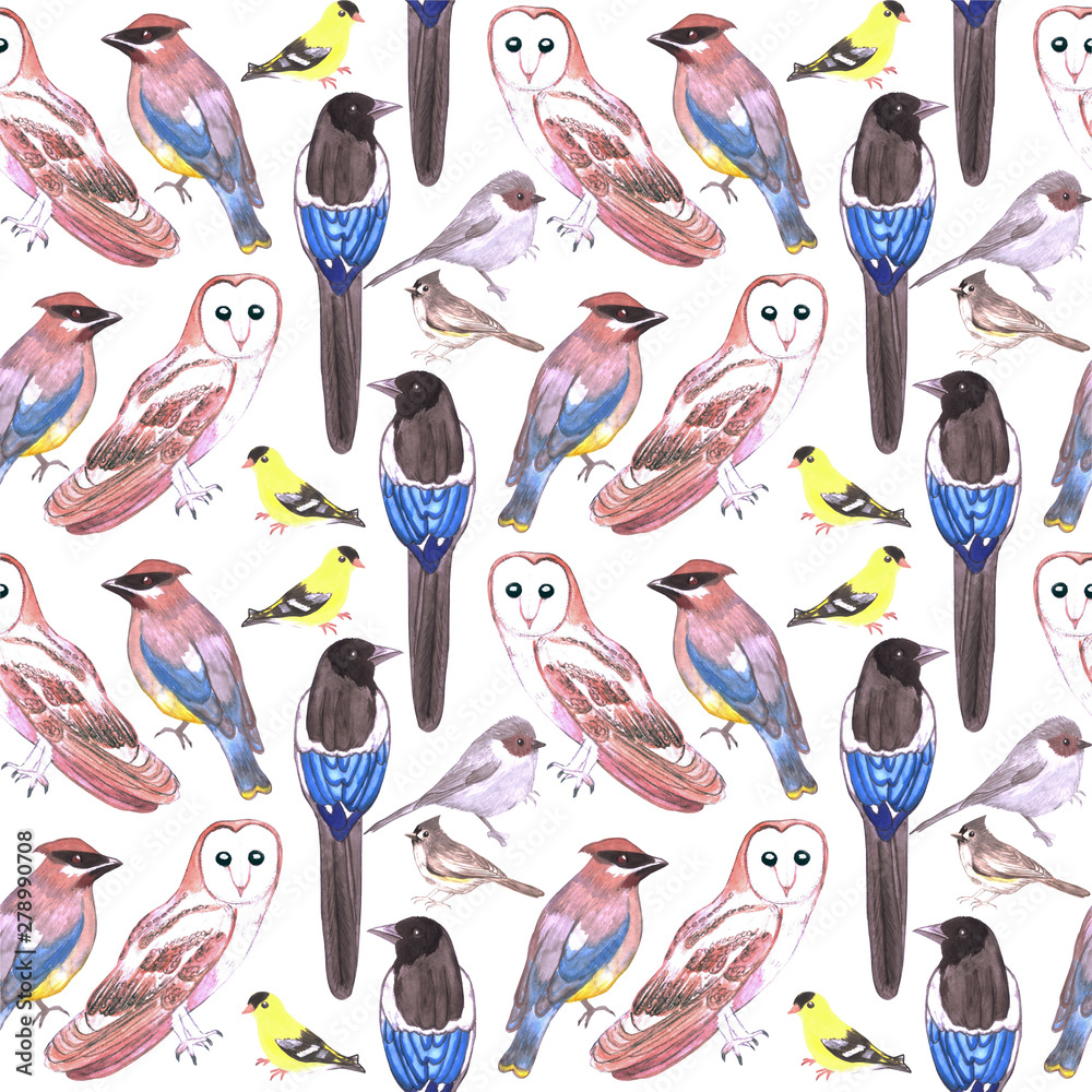 Wild birds watercolor seamless background- Birds of America