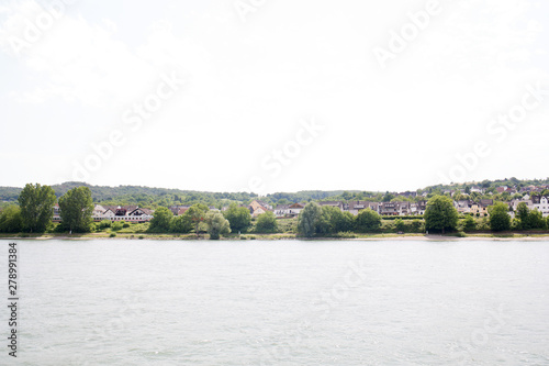 Wallpaper Mural blick auf ein natürliches ufer  in koblenz und umgebung fotografiert während einer schiffstour auf dem rhein in koblenz und umgebung Torontodigital.ca