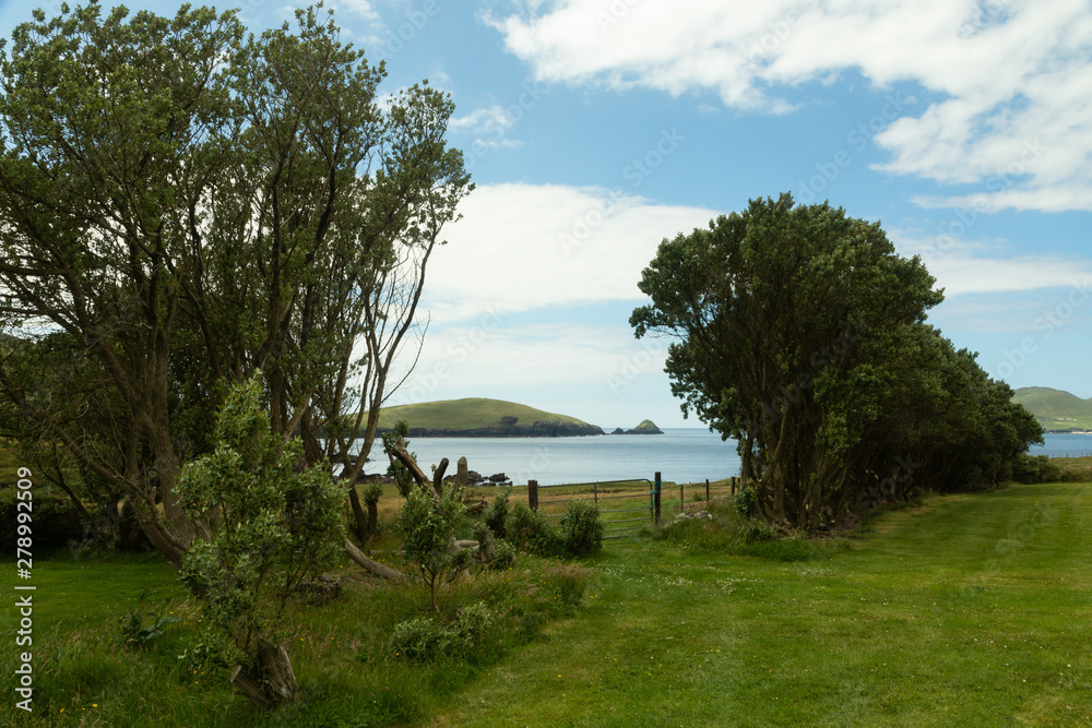 view of the Blasket Islands, Ireland