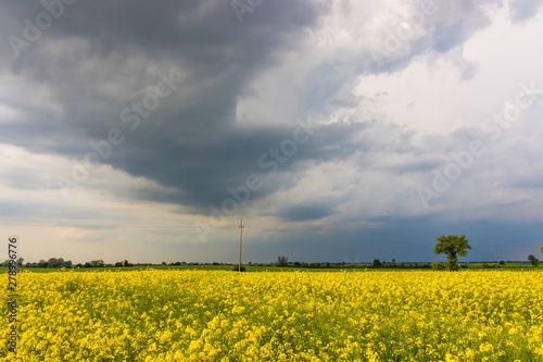 clouds over a field of a rape