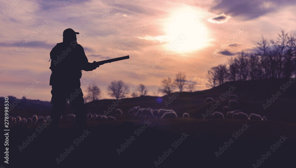 Hunting period, autumn season open. A hunter with a gun in his hands in hunting clothes in the autumn forest in search of a trophy. A man stands with weapons and hunting dogs tracking down the game. Hunting period, autumn season open. A hunter with a gun in his hands in hunting clothes in the autumn forest in search of a trophy. A man stands with weapons and hunting dogs tracking down the game.