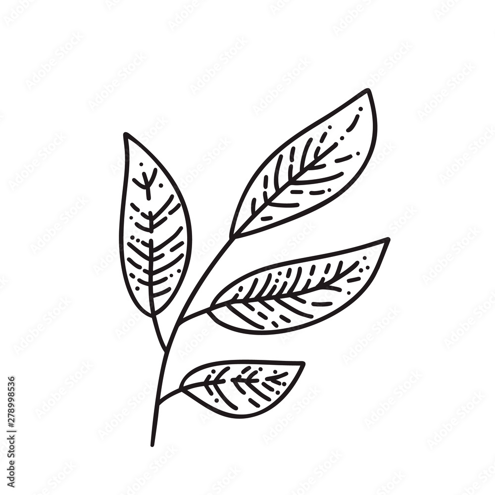 Monoline autumn leaves of tree logo. Outline emblem in linear style. Vector abstract icon for design of natural products, flower shop, cosmetics, ecology concepts, health, spa Monoline autumn leaves of tree logo. Outline emblem in linear style. Vector abstract icon for design of natural products, flower shop, cosmetics, ecology concepts, health, spa