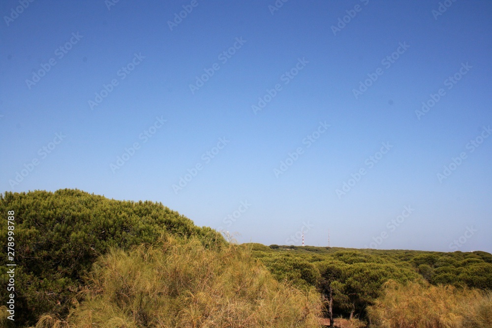 landscape with blue sky