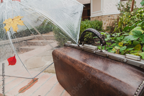 Transparent umbrella stands onstone tile in yard photo