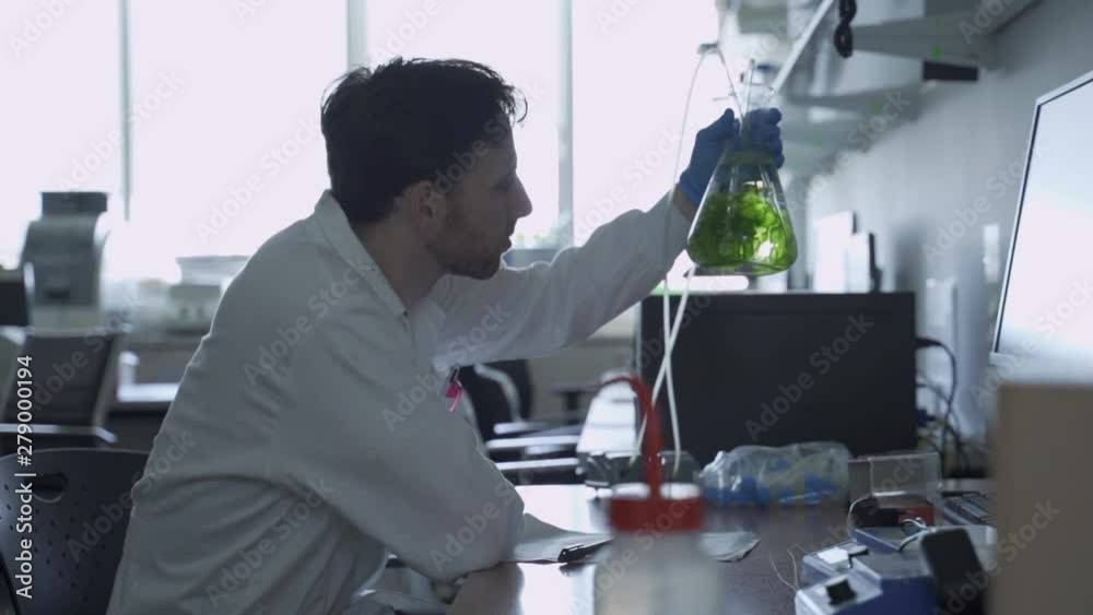 Man in a laboratory checking a flask with experiment with algae or green source Man in a laboratory checking a flask with experiment with algae or green source