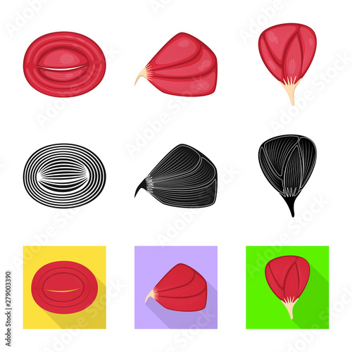 Vector design of fiber and muscular icon. Collection of fiber and body stock symbol for web.