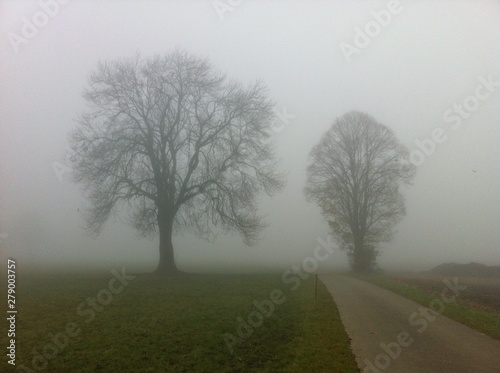 Herbstnebel