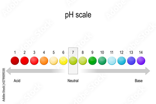 ph value scale. acid-base balance