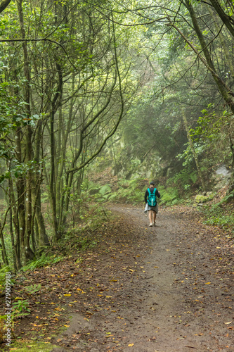 A young traveler in the relic forest. Slopes of the ancient Anaga mountain range on the island of Tenerife. Giant laurels and heather tree along narrow winding paths. Paradise for hiking. Canary.