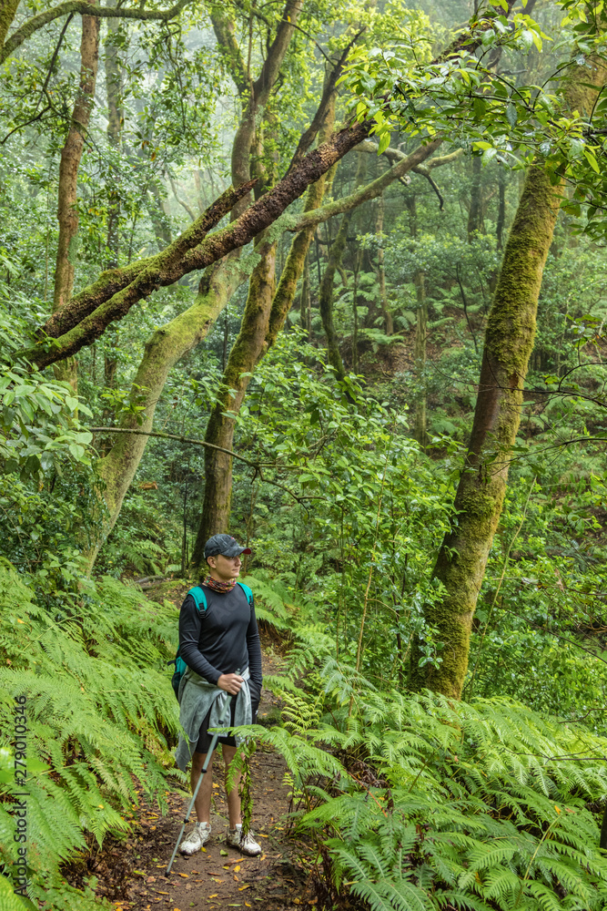 A young traveler in the relic forest. Slopes of the ancient Anaga mountain range on the island of Tenerife. Giant laurels and heather tree along narrow winding paths. Paradise for hiking. Canary. A young traveler in the relic forest. Slopes of the ancient Anaga mountain range on the island of Tenerife. Giant laurels and heather tree along narrow winding paths. Paradise for hiking. Canary.