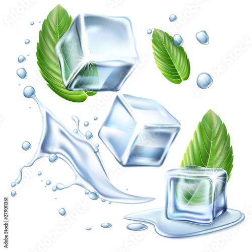 Vector realistic ice cubes mint green leaves set