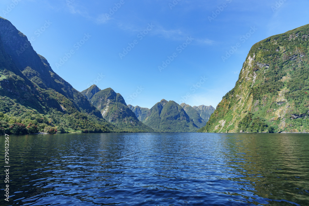 boat trip in the fjord, doubtful sound, fjordland, new zealand 5