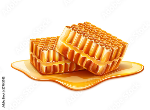 Vector realistic honeycomb slice with liquid honey