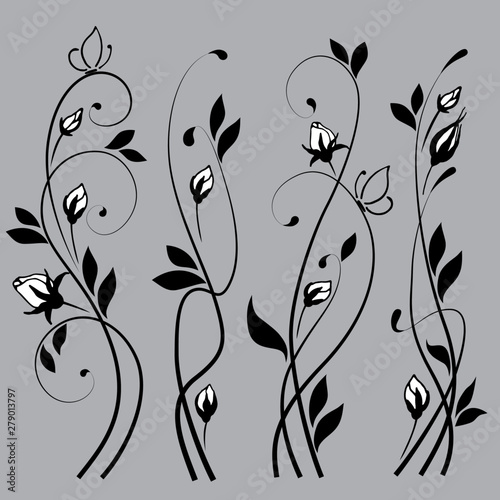 a set of curls with elements of plants