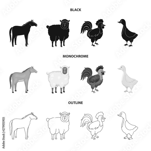 Vector design of breeding and kitchen icon. Set of breeding and organic stock symbol for web.