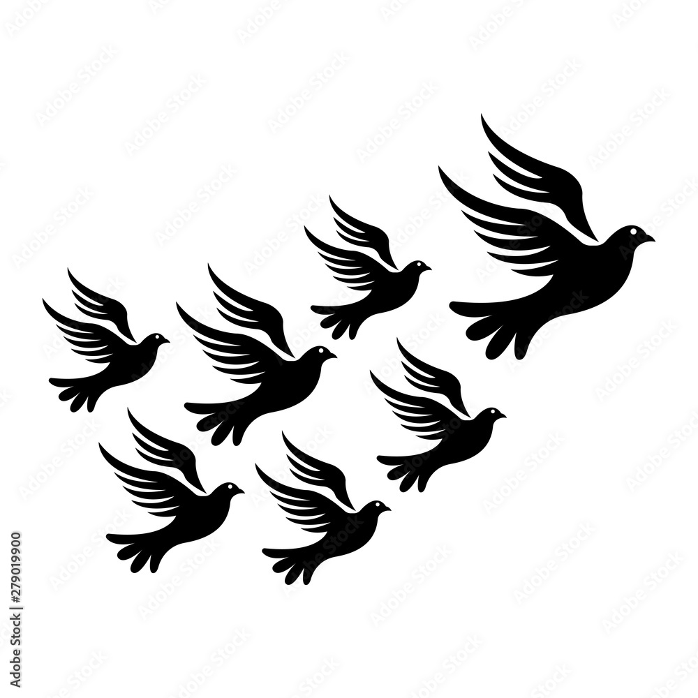 Obraz premium Black Bird Dove Logo Template Vector
