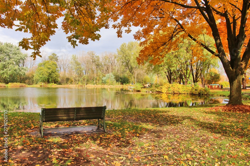 Midwest nature background with park view. Beautiful autumn landscape with colorful trees around the pond and bench in a city park. Lakeview park, Middleton, Madison area, WI, USA.