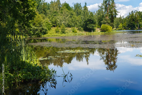 Pond in a forest with a reflection of trees and sky on the water