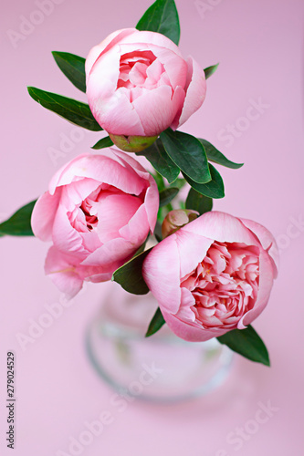 Fototapeta Naklejka Na Ścianę i Meble -  Peony flower bouquet in a vase on the pink background close up
