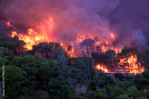 Massive Wildfire