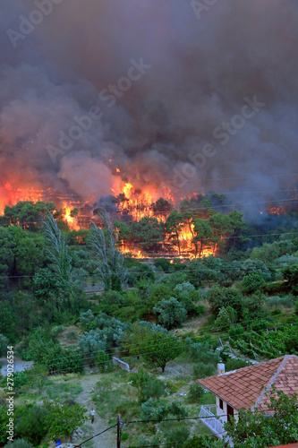 Massive Wildfire