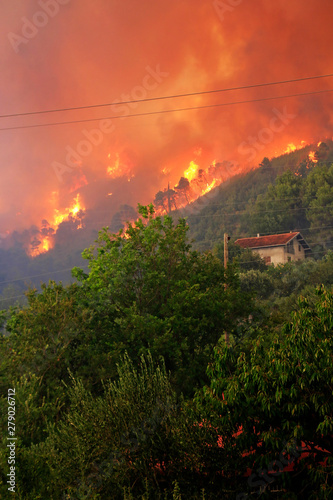 Massive Wildfire
