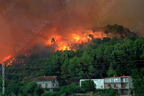 Wildfire