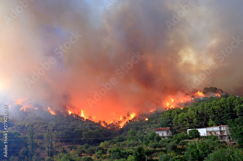 Wildfire