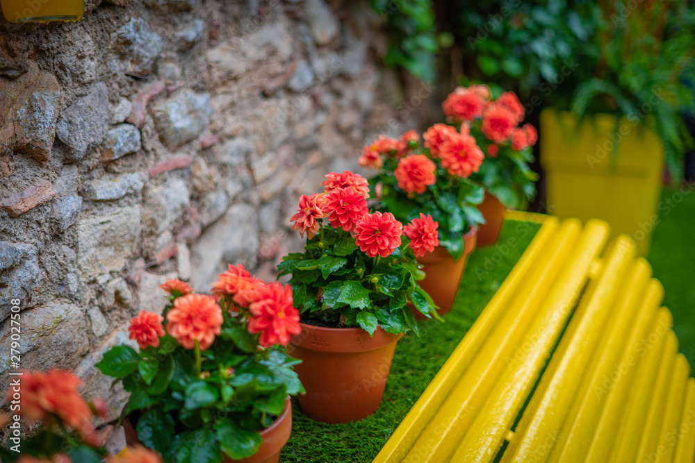 Flowers on a yellow bench