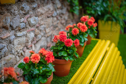 Fototapeta Naklejka Na Ścianę i Meble -  Flowers on a yellow bench