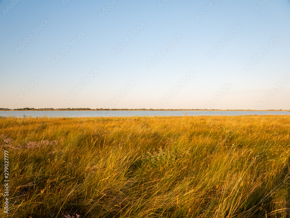 Silent Steppe Silent Steppe