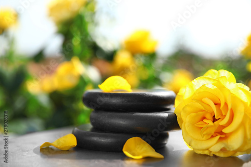 Spa stones and fresh rose on table in blooming garden. Harmony and zen