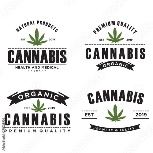 Set of vector cannabis Logo badges. Medical marijuana Logo label Vintage Hipster Retro hemp leaves design
