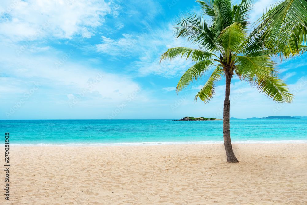 Tropical sand beach with palm tree