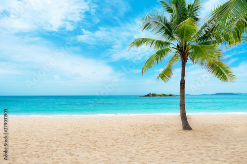Fototapeta Naklejka Na Ścianę i Meble -  Tropical sand beach with palm tree