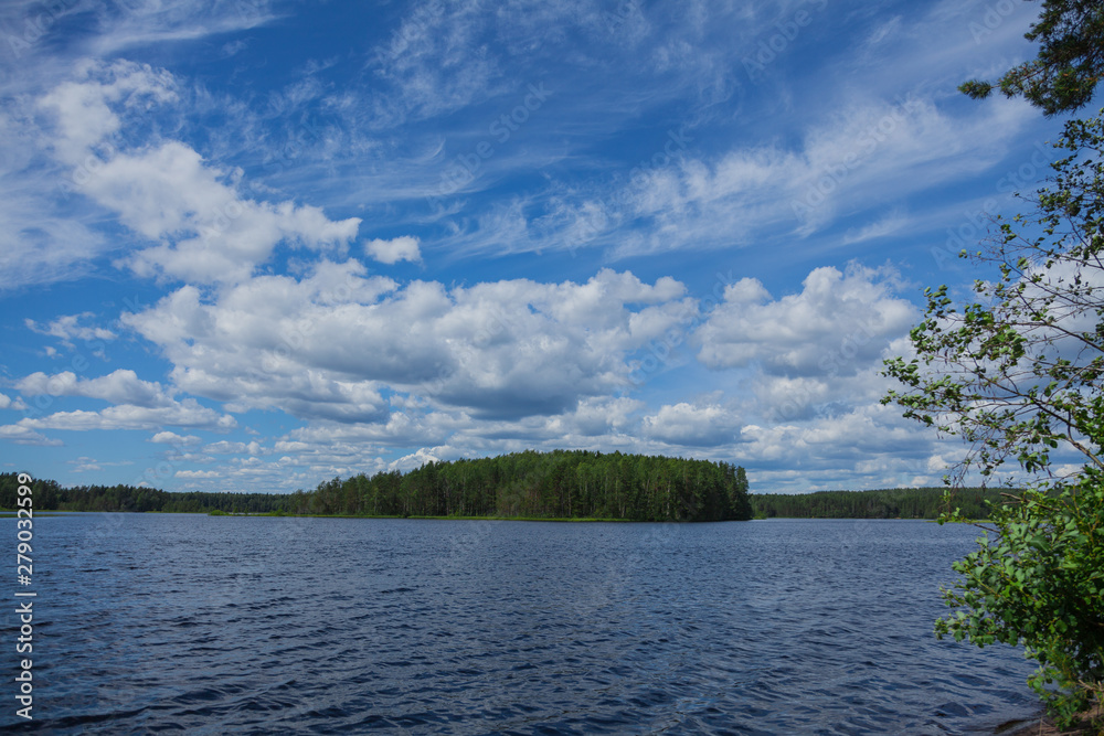 Background with thin white clouds in shape of bird in the blue summer sky over the lake. Forest on the far bank