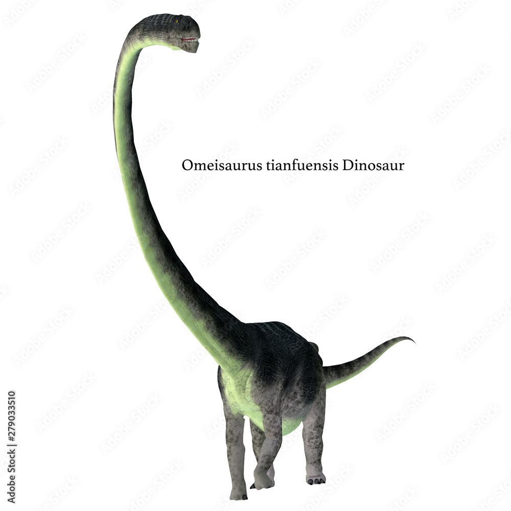 Fototapeta premium Omeisaurus Dinosaur Front with Font - Omeisaurus was a herbivorous sauropod dinosaur that lived in China during the Jurassic Period. 