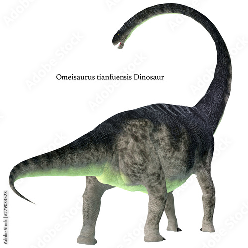 Omeisaurus Dinosaur Tail with Font - Omeisaurus was a herbivorous sauropod dinosaur that lived in China during the Jurassic Period. © Catmando