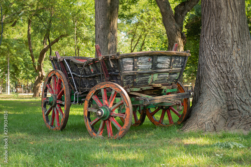 Vintage horse cart in a city park among old trees and green lawn.