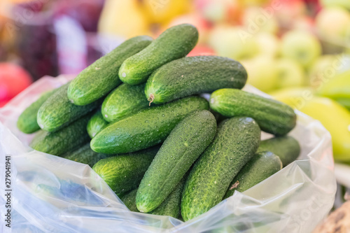 Fresh green cucumbers of a new harvest are put by group