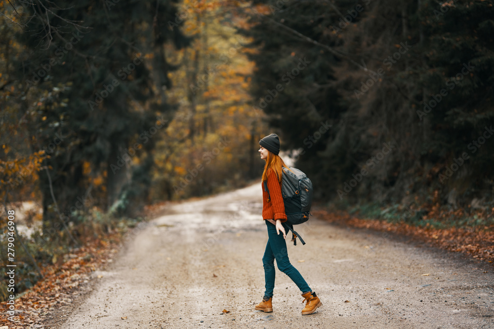 hiker in the forest hiker in the forest