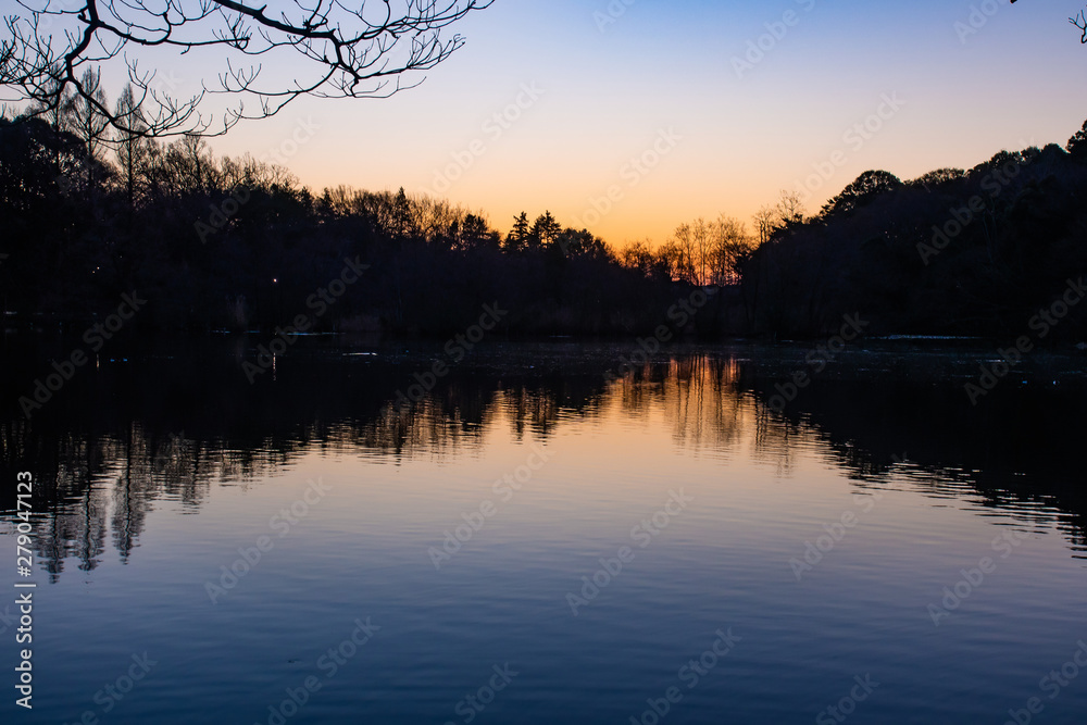 Obraz premium 三宝寺池の朝日