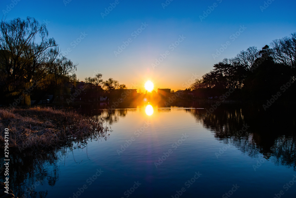 石神井池の朝日