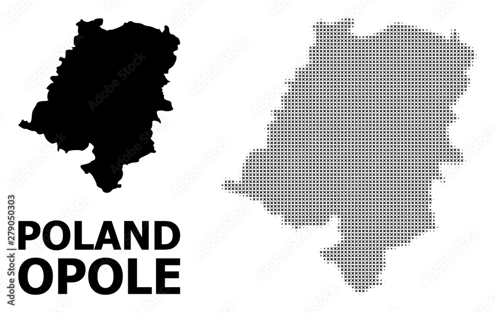 Vector Halftone Mosaic and Solid Map of Opole Province